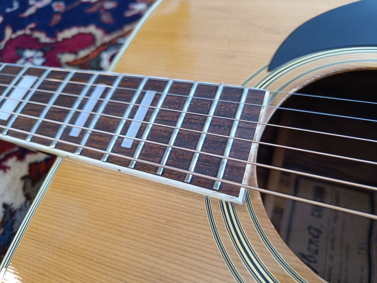 Ibanez Concord 753 1975 - Natural