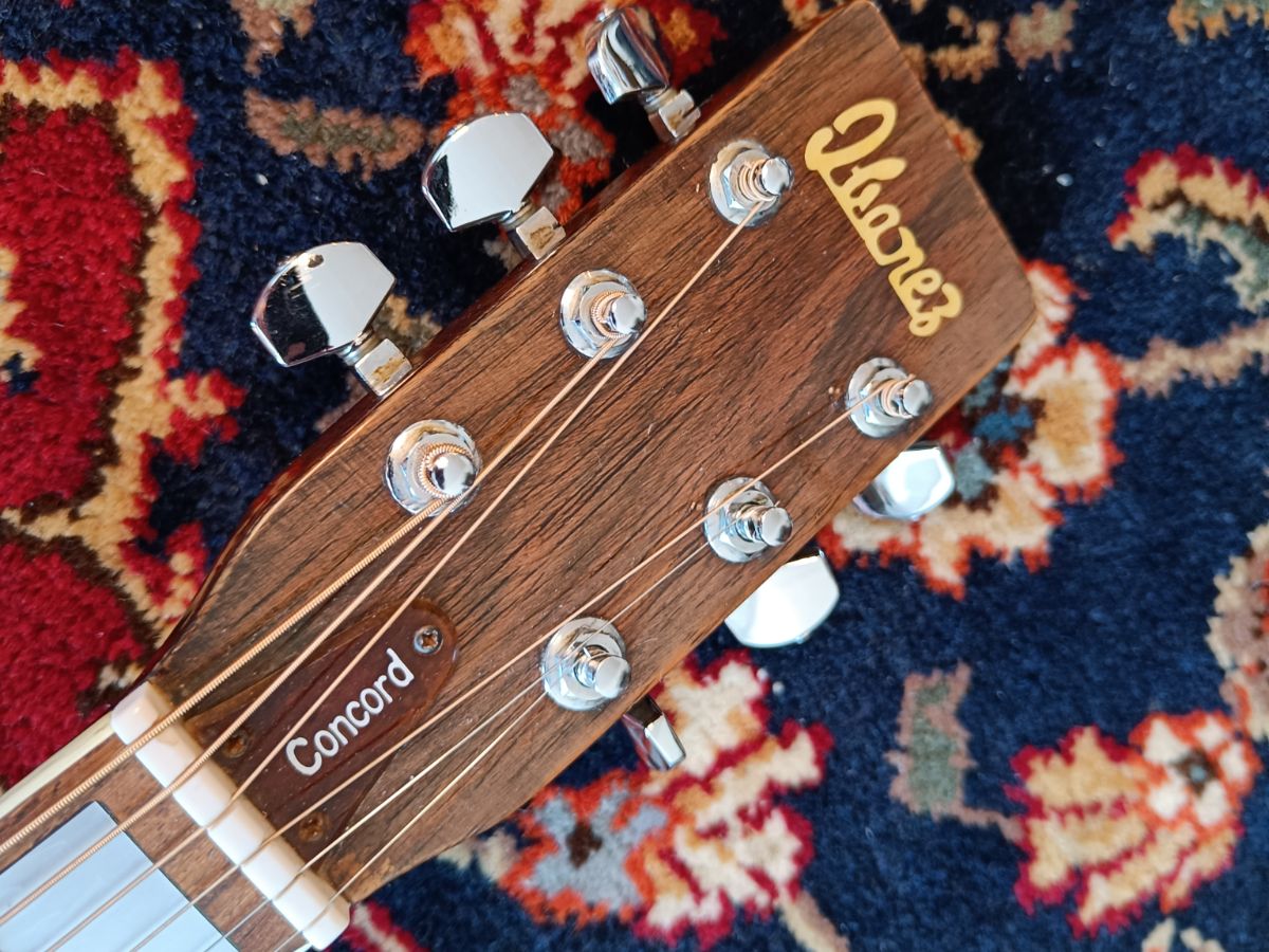 Ibanez Concord 753 1975 - Natural