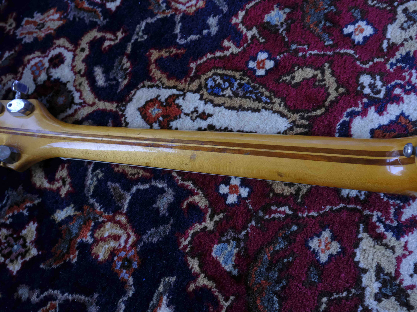 Dynacord Jazz DC-3 1960s Sunburst