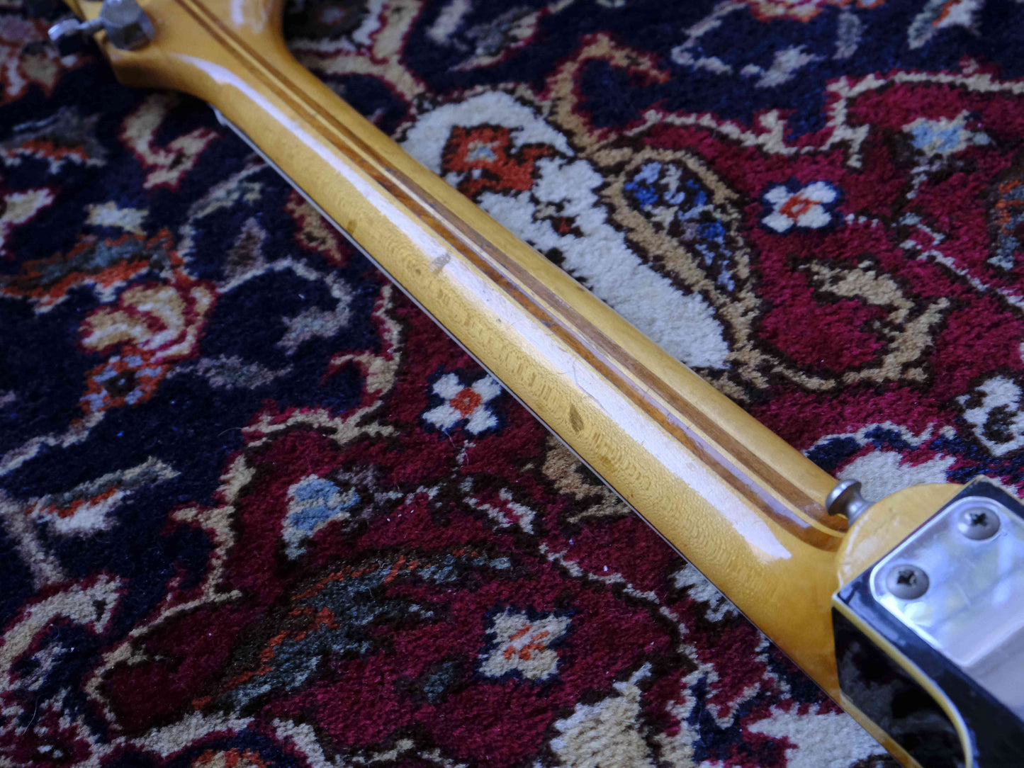 Dynacord Jazz DC-3 1960s Sunburst