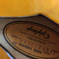 Epiphone Nick Valensi Riviera P94