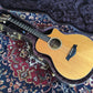 Taylor GT-8 Baritone 2010
