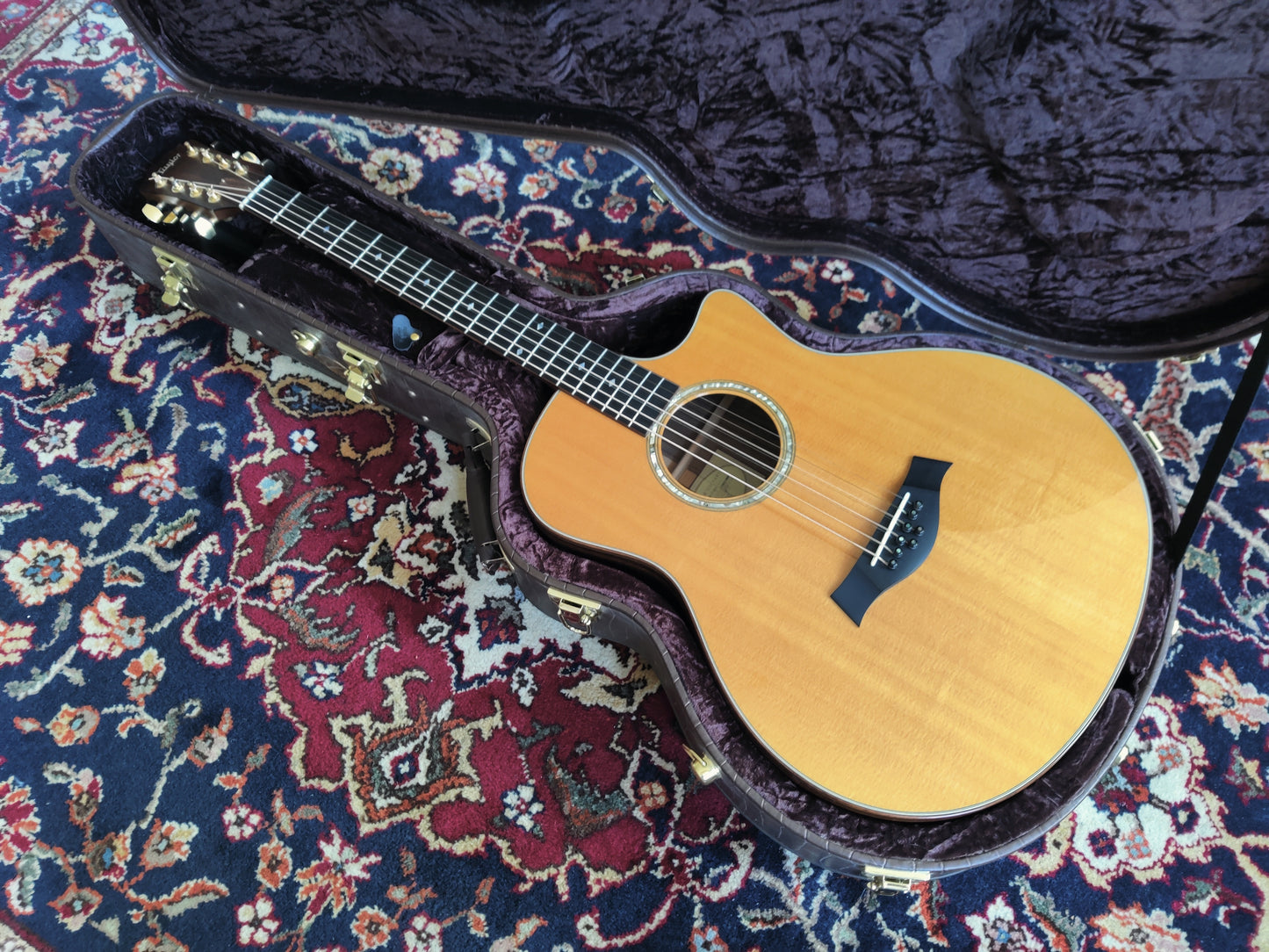 Taylor GT-8 Baritone 2010