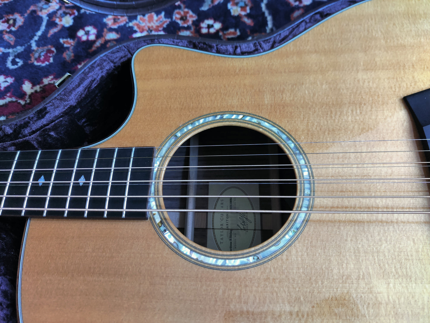 Taylor GT-8 Baritone 2010