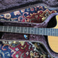 Taylor GT-8 Baritone 2010