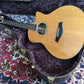 Taylor GT-8 Baritone 2010